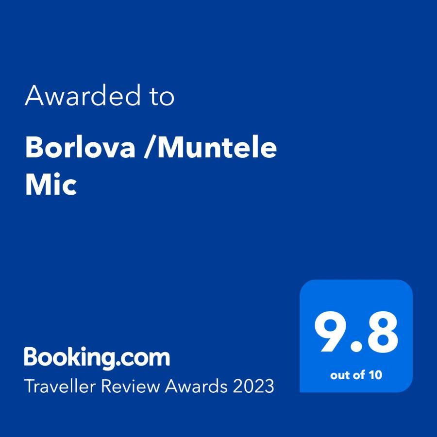 ホテル Borlova /Muntele Mic エクステリア 写真